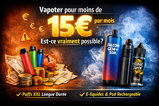 Infographie budget vape économique moins de 15 euros par mois flacons e-liquides et puffs